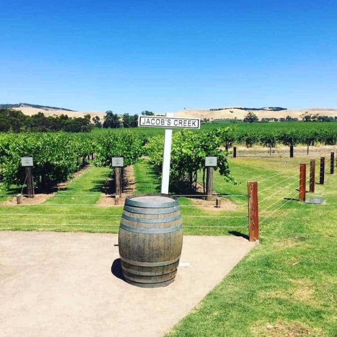 Wine Regions in South Australia