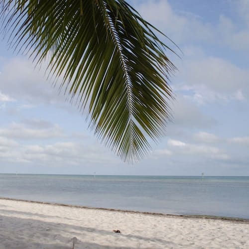 Wonderful Winter Escapes